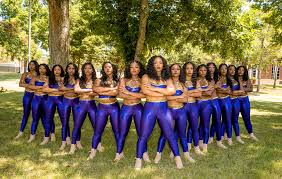 Image result for Merriott Majorettes
