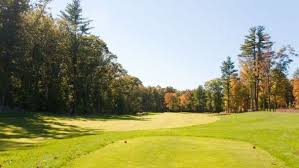 Image result for Chelmsford Gc