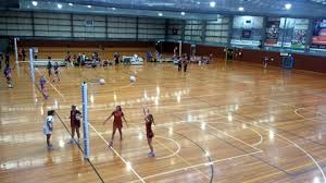 Image result for Sports Centre Netball