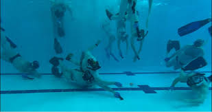 Image result for Caversham Underwater Hockey Club