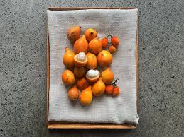 Attēlu rezultāti vaicājumam “Betula humilis fruit”