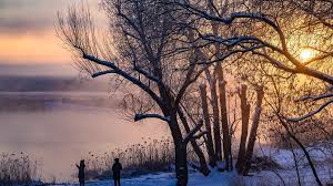 Image result for schnee