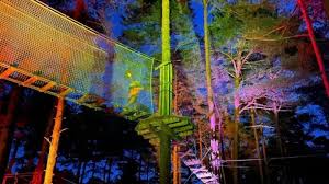 Image result for Go Ape! Leeds Castle