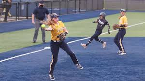 Image result for Lions Softball Club