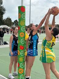 Image result for Didasko Netball Club
