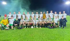 Image result for Patrick Sarsfield Gaelic Athletic Club
