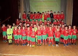 Image result for Chiddingfold Football Club