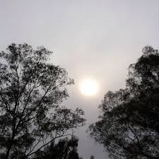 Attēlu rezultāti vaicājumam “altostratus”