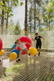 Image result for Go Ape! Alice Holt