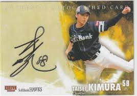 「ナスターシャ・ロマネンコ」の画像検索結果