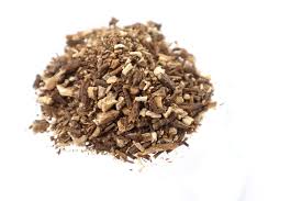 Attēlu rezultāti vaicājumam “Angelica archangelica fruit”