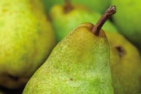 Attēlu rezultāti vaicājumam “Pyrus communis fruit”