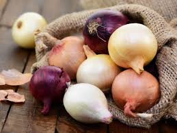 Image result for Zwiebeln