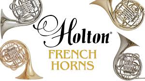 Image result for holtec tehron