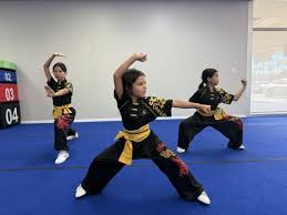Image result for Chinese Kick Boxing Club