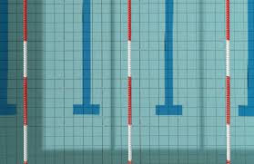 Image result for Rushmoor Royals Swimming Club