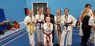 Image result for Cobra Karate Club