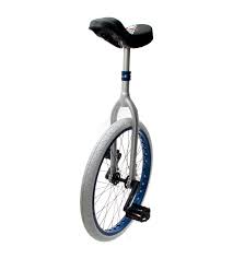 Image result for Southampton Unicycle Hockey