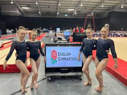 Image result for Ipswich Gymnastics