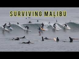 Image result for Scarborough Malibu Surf Club