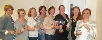 Image result for Wombles Netball Club