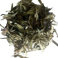 Attēlu rezultāti vaicājumam “Hippophae rhamnoides leaf”