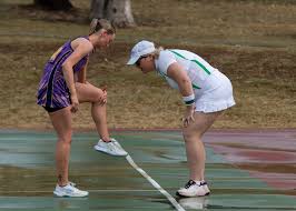 Image result for Civil Service (Ipswich) Netball Club