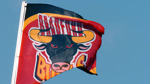 Image result for Bradford Bulls Super League Club