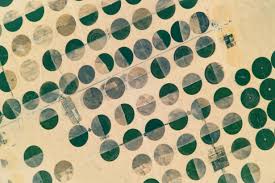 Image result for crop circles