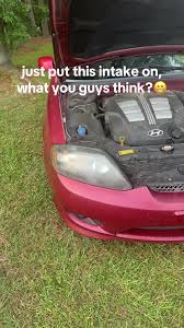 Image result for tuscani tibu...start=0