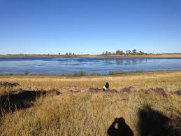 Image result for Ashurst WI*