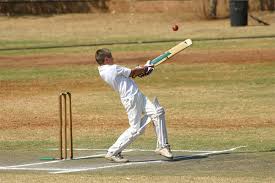 Image result for Hook Norton Junior Cricket Club