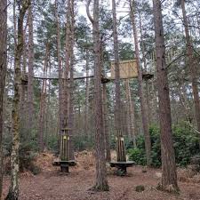 Image result for Go Ape! Alice Holt