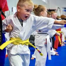 Image result for Norfolk Karate