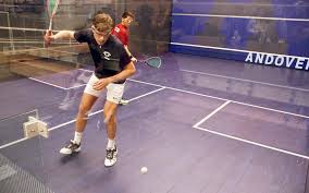 Image result for Andover Sports Badminton Club - CLOSED
