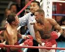Diego Corrales Boxing Fights Collection