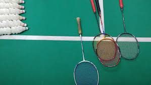 Image result for Pioneers Badminton Club