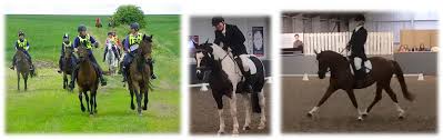 Image result for Huntingdon and District Riding Club