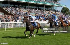 Image result for Wingate Centre