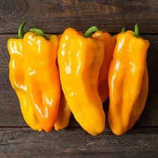 Afbeeldingsresultaat voor californian wonder golden sweet pepper