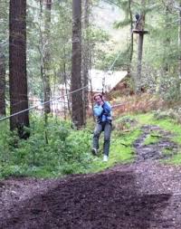 Image result for Go Ape! Grizedale
