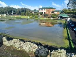 Image result for Muswell Hill Bowling Club