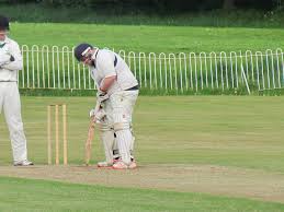 Image result for Prestatyn Cricket Club