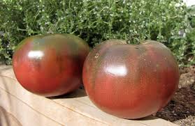 Afbeeldingsresultaat voor black elephant tomato