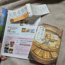 Image result for 竹内志麻子島村洋子