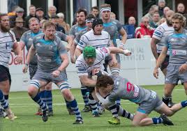 Image result for Tynedale Rfc
