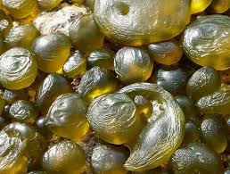 Attēlu rezultāti vaicājumam “Nostoc commune macro”