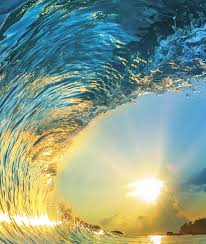 Image result for site:net pino◆MatthewZ8E