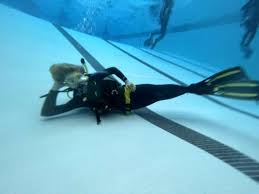 Image result for Darwen Snorkelling Club