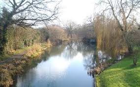 Image result for Yateley and Hawley Bridge Club